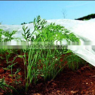 Vegetable Protection non woven fabric