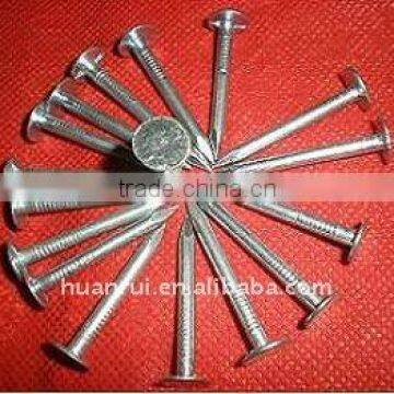 20mm cupper nails --big head nails