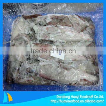 high quality frozen squid seafood