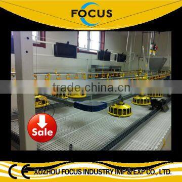 Focus industry offer chicken floor raising equpment with drinking line and fodder line