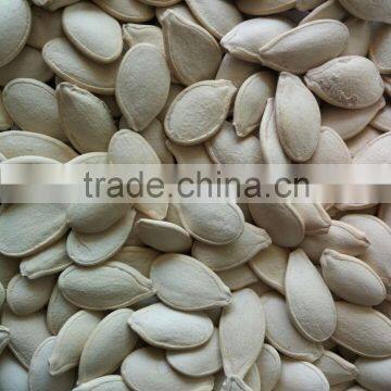 11cm, 13cm, 14cm Salted Snow White pumpkin seeds