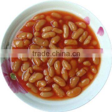 Good Quality Canned White Beans in Tomato Sauce