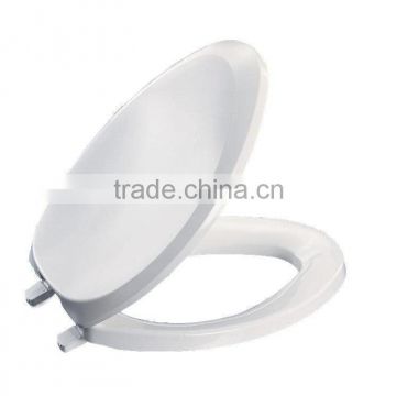 Plastic Injection Toilet Seat and Cover Mould