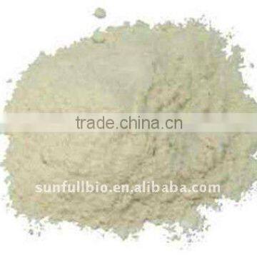 Garlic Plant Extract