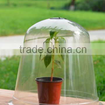 garden cloche LJ-3004