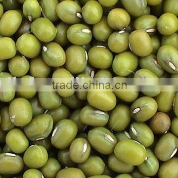 Green Mung Bean