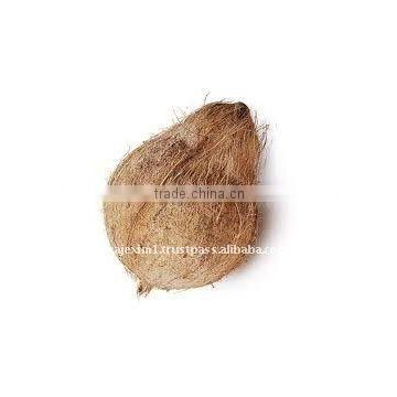 Semi Husked Coconut for Buy