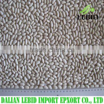 High quality white kidney beans spanish type