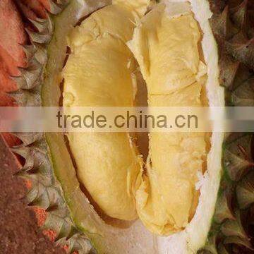 VIET NAM DURIAN- Monthong Durian photo-2
