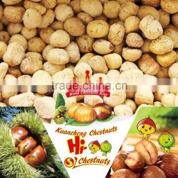 Bulk frozen chestnuts Castanea Sativa for sale