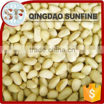 Organic pine nuts wholesale prices