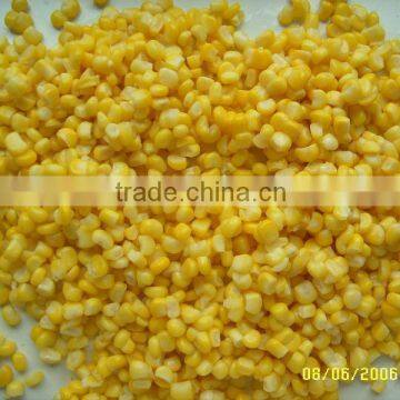 sweet and good price canned corn kernel corn in canned