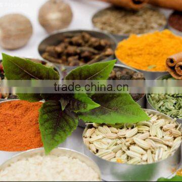 China manufacturer wholesale Fennel powder buying on alibaba