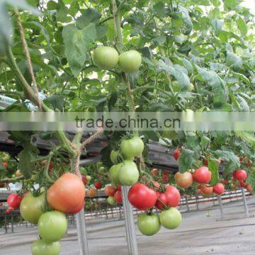 Expanded Perlite for Seedlings, Grow Composts, Soil Conditioner photo-4