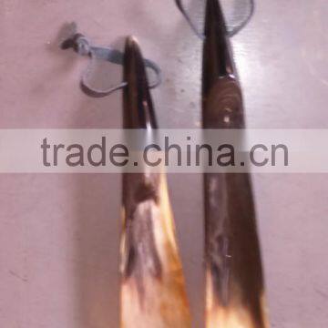 Shoe Horn