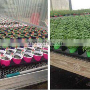 35 50 72 105 128 150 288 Cell Plastic Seed Tray ,seeding Tray for Agricultural photo-5
