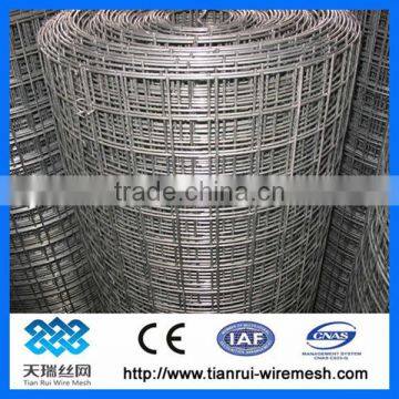 1x1 pvc coated weled wire mesh (factory)