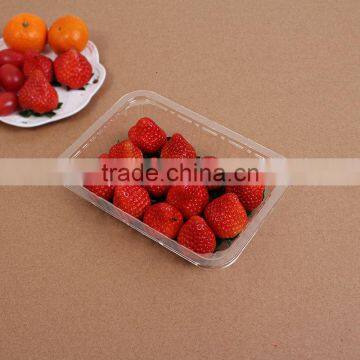 Clear Plastic Disposable Pet Salad and Food Container photo-3