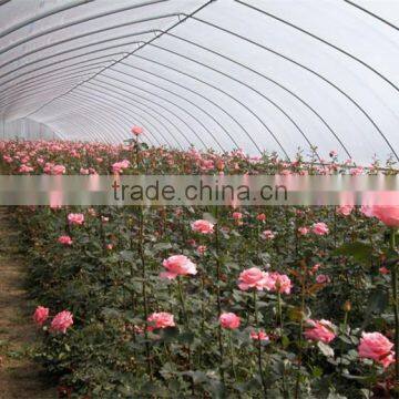 New Type Of Tunnel Greenhouse For Vegetables photo-2