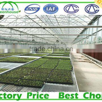 Galvanized Wire Mesh Greenhouse Rolling Benches photo-2