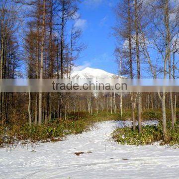 Land for resort , real estate for investors , Japan , Hokkaido