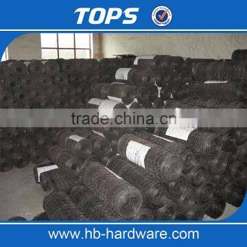 China Cheap Hexagonal Chicken Wire Mesh photo-2