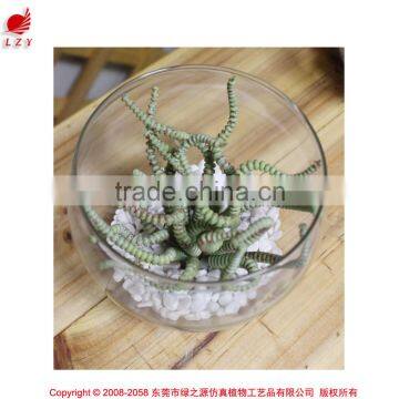 artificial preserved succulents artificial potted mini succulent plants hot sale artificial potted plants