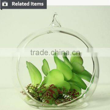 Hanging Glass Succulents Terrarium Mini Artificial Plants for Home Decoration photo-3