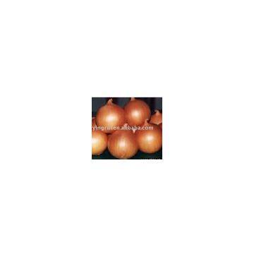 yellow onion
