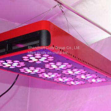 3 Watt Led Chip Grow Light A10 With Full Spectrum and High Power Used Grow Tent and Hydroponics photo-4