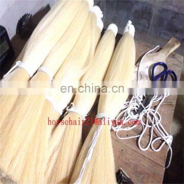 Blunt cut bottom horse tail hair /double drawn horse tail hairs for sale