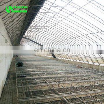 Easy Assemble Modular Retractable Sunlight Vegetable Strawberry Single Span Tunnel Greenhouse