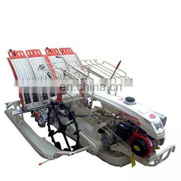 6 row small walking rice transplanter made in china