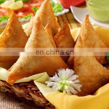 Commercial Dumpling Dumpling Moulding Machine/automatic Dumpling Spring Roll Making Machine photo-6