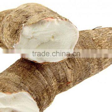 Best Prices Fresh Cassava Root Planter for export