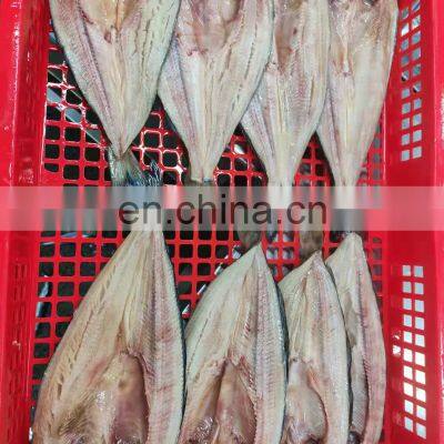 Good Quality IQF Gutted Whole Frozen Atka Mackerel Fish photo-5