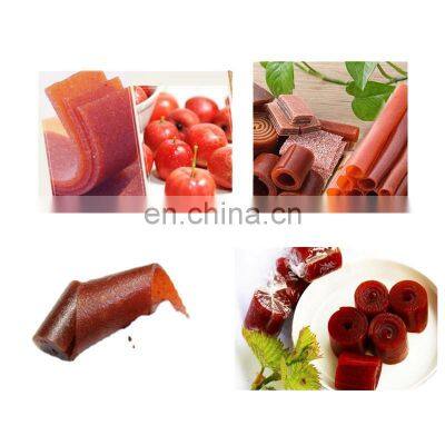 Automatic Fruit Leather Cutting Machine With Factory Price photo-4