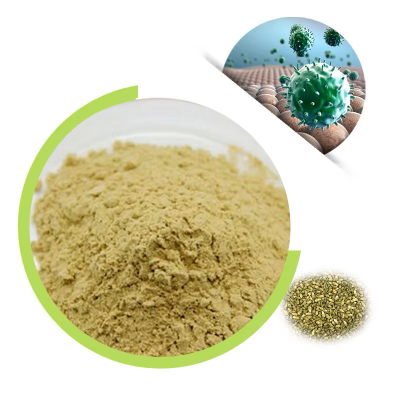 Natural Quercetin Dihydrate Herbal Extract Powder for Health Food