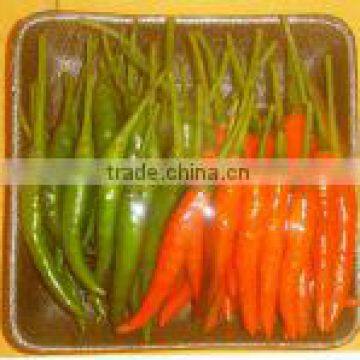Red and Green Chilli