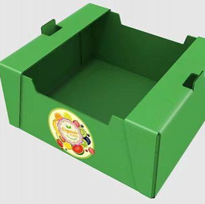 Reusable Corrugated Plastic Foldable Boxes – Eco-Friendly Produce Transport Solutions