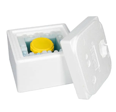 High Quality Bainuo EPS Foaming Mould EPS Foam Machines for Package Box photo-4