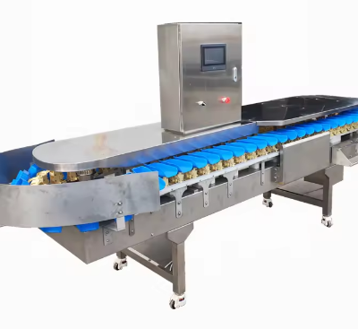 Máquina automática eléctrica para recoger mangos, máquina de clasificación y gradación de frutas y alimentos, línea de máquinas clasificadoras y gradadoras