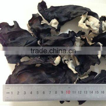 Edible Dried White and Black Mushroom Fungus