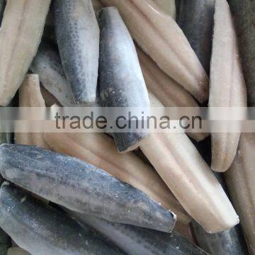 Spanish Mackerel King Fish Fillet