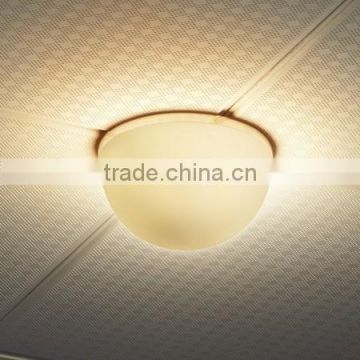 G9 lampholder opal glass ceiling light