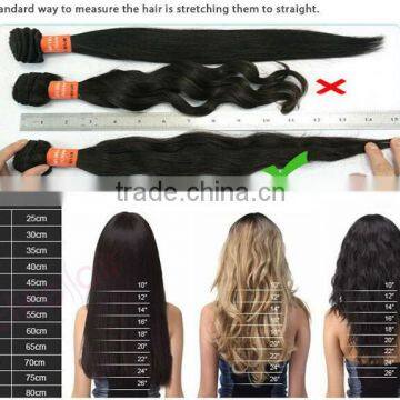 Hot Sale 7A Grade Unprocessed Straight Virgin Hair Extension Virgin Brazilian Human Hair Human Hair Wig photo-4
