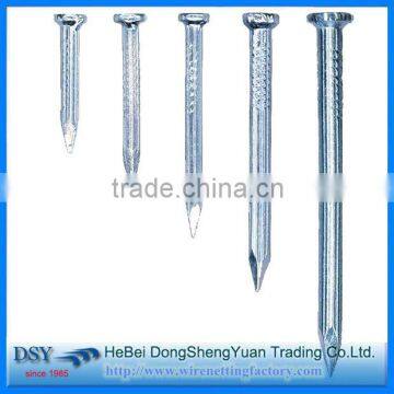 Hot Selling Common Nail Iron Nail Factory