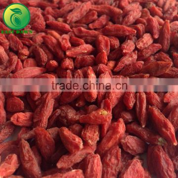 Fruit Products Organic Food, Wholesale Organic Goji Berries