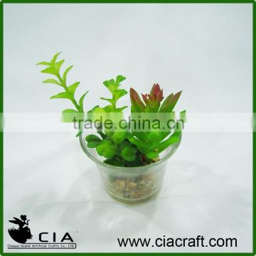 PVC Artificial Potted Grass Plastic Bonsai in Glass Terrarium for wholeselling