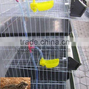 strong steel frame automatic quail cage with drinker and feeder